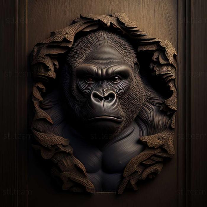 Animals gorilla